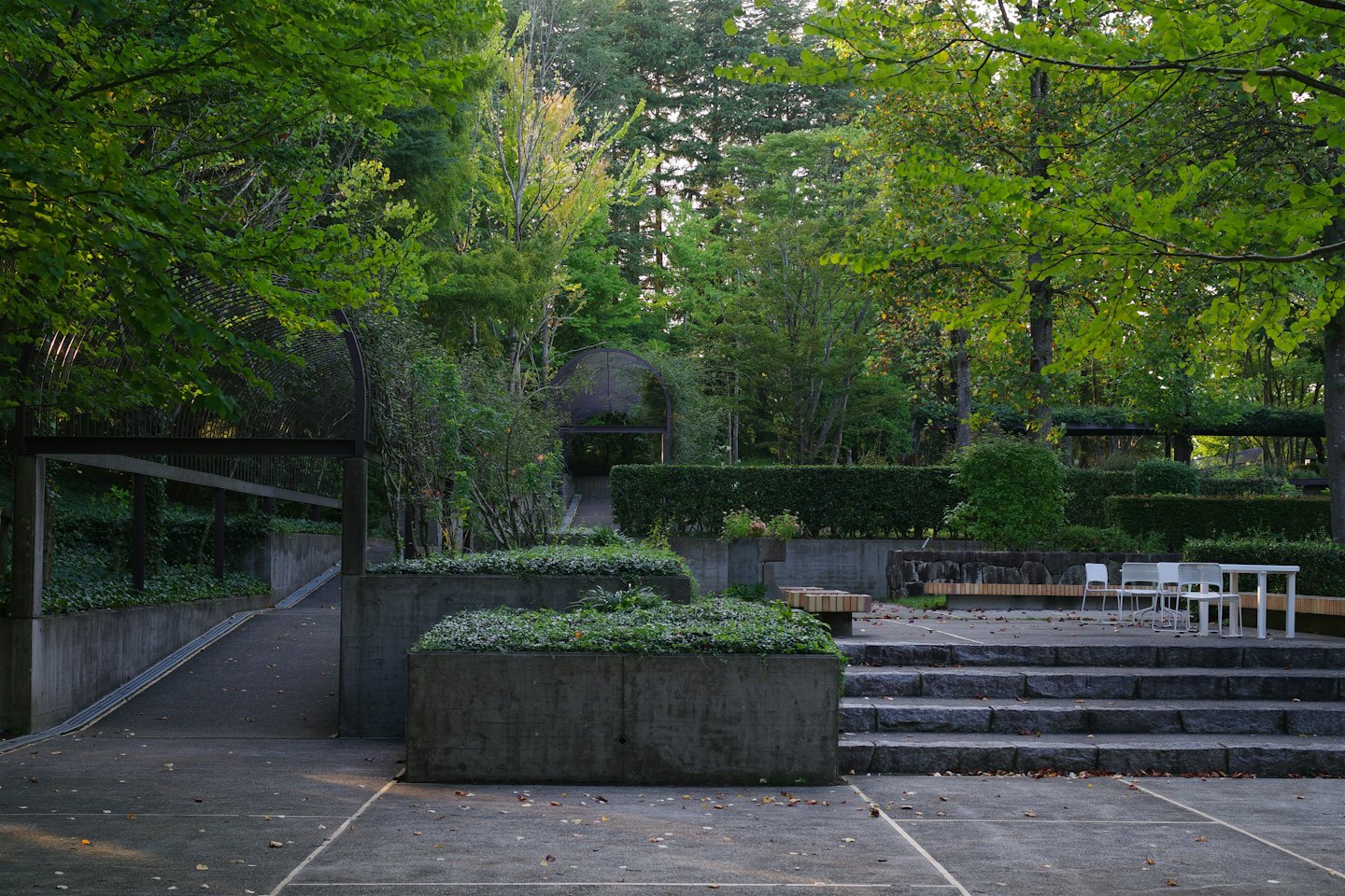 Moderner Garten mit Betonpflanzgefäßen und einem gepflasterten Steinweg.